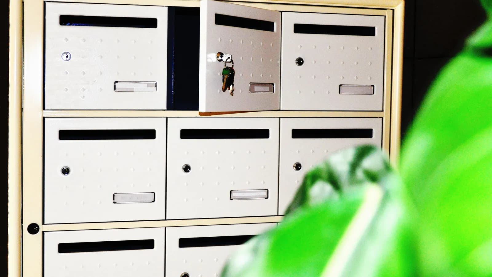 Rangée de boîtes aux lettres dans le hall d'un immeuble
